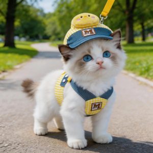 Elegant Bowtie Cat Collar