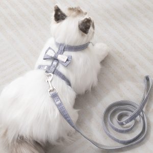 Adjustable Soft Velvet Puppy Collar