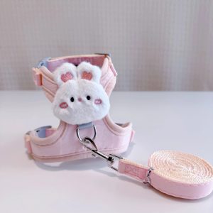 Personalized Nameplate ID Collar