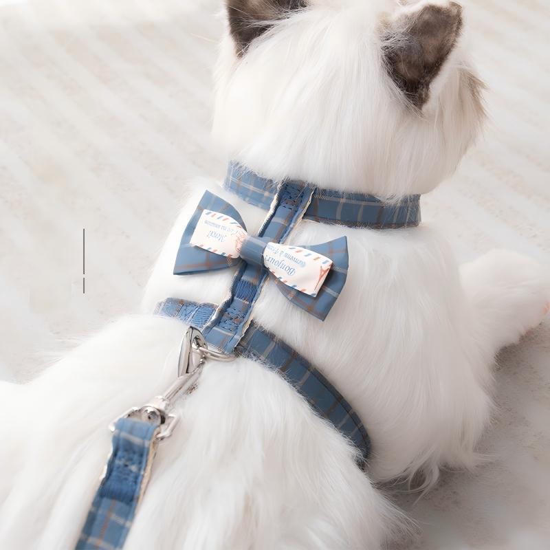 Adjustable Soft Velvet Puppy Collar - Image 2